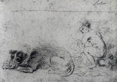 drawing